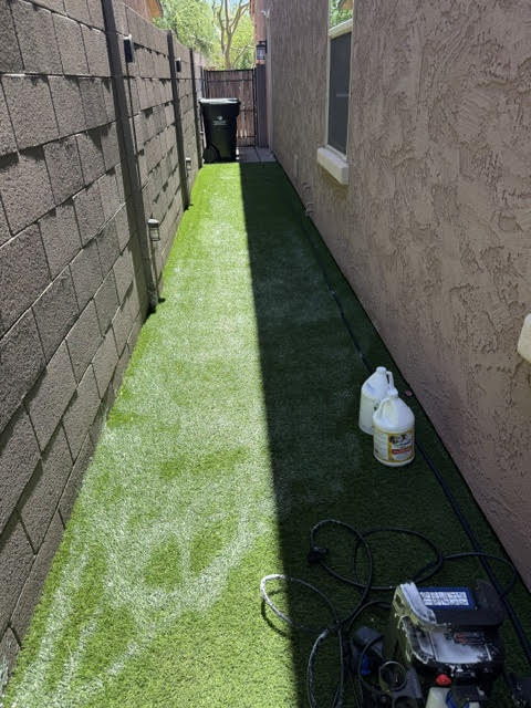 Side Yard Cleaning